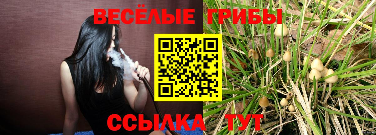 где купить   Псилоцибиновые грибы прущие грибы  Псилоцибиновые грибы мухоморы  Вход с VPN  Белгород 